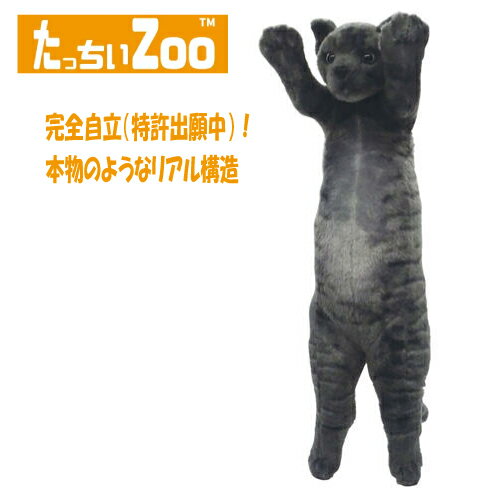 樂天商城 - たっちぃZOO にゃんこ 黒トラ ぬいぐるみ（ねこ ネコ プレゼント ギフト 贈り物 母の日 誕生日 新生活 就職 進級 進学 お祝い）