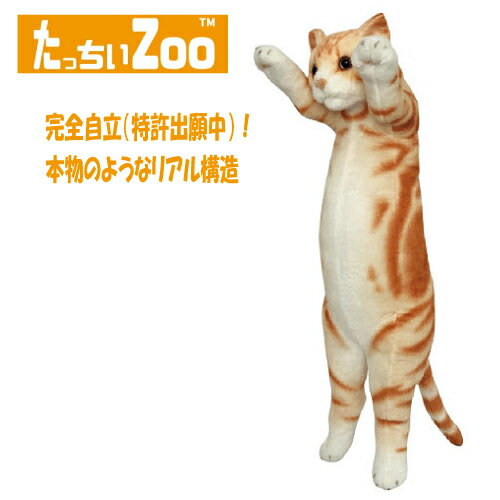 ʡ äZOO ˤ󤳥ꥫ󥷥硼ȥإ ̤ߡʤͤ ͥ ץ쥼 ե £ʪ     ʵ ʳ ...