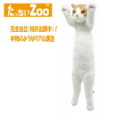 たっちぃZOO にゃんこ 茶白 ぬいぐるみ(ねこ ネコ プレゼント ギフト 贈り物 母の日 誕生日 新生活 就職 進級 進学 お祝い)[宅配便配送(メール便とネ...