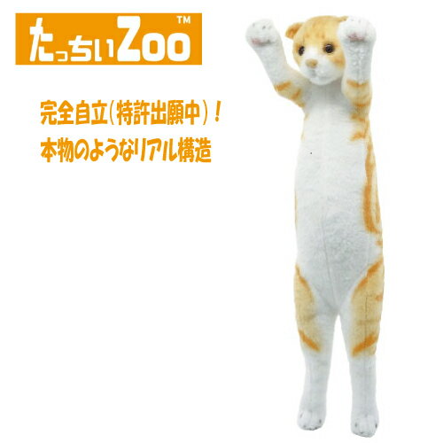 【正規品】 たっちぃZOO にゃんこ スコティッシュフォールド レッドタビー ぬいぐるみ(ねこ ネコ プレゼント ギフト 贈り物 母の日 誕生日 新生活 就職 ...