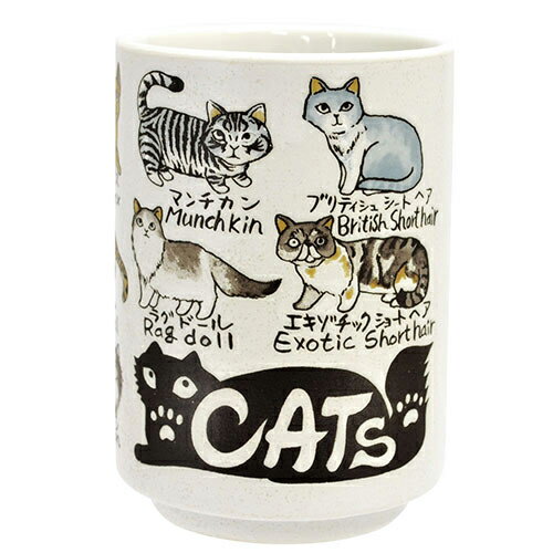 ����������YAMATO�������� �ͥ� 280ml (�ͤ� ǭ ��ǻ�� �������Żҥ�󥸲� �����ѿ��������Ѳ� ���ݤ� ������ �ѡ��ƥ��� ��ǰ�� ���ե� �ץ쥼...