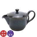 COFFEE TOKONAME 珈琲常滑 珈琲急須 かご網 350 【珈琲焙煎士:三浦拓也氏 共同開発】(ポット コーヒー 珈琲急須 常滑焼 コラボ商品)【送料...