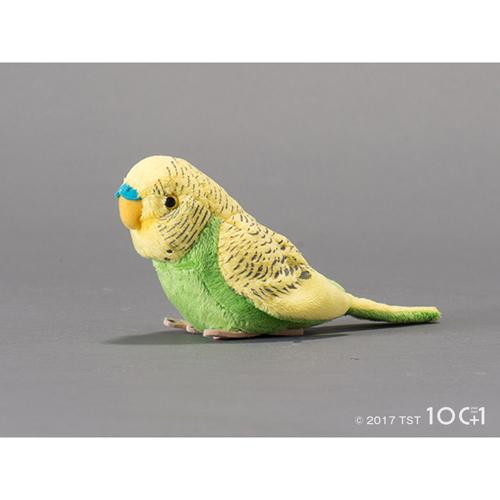 【100＋1】 ぬいぐるみ101 セキセイインコ グリーン（ワンハンドレッドプラスユアオウンワン）[宅配便配送（メール便とネコポスは不可）]