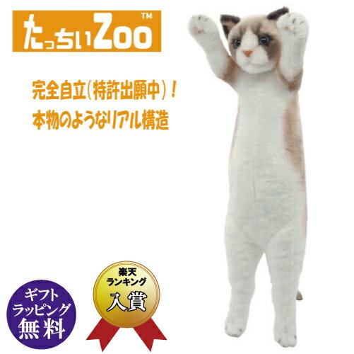 たっちぃZOO にゃんこ ラグドール柄 ぬいぐるみ（ねこ ネコ プレゼント ギフト 贈り物 母の日 誕生日 新生活 就職 進級 進学 お祝い）[宅配便配送（メール便とネコポスは不可）]のサムネイル
