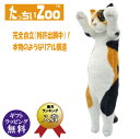 たっちぃZOO にゃんこ 三毛猫 ぬいぐるみ(ねこ ネコ プレゼント ギフト 贈り物 母の日 誕生日 新生活 就職 進級 進学 お祝い)【お取り寄せ商品】
