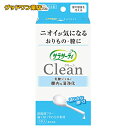 サラサーティ Clean 3本入【膣洗浄】【デリケートゾーン】【おりもの】【ニオイ】【小林製薬】