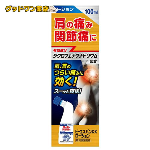 【第2類医薬品】ビーエスバン DX ローション (100ml) 【セルフメディケーション税制対象】