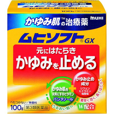 【第3類医薬品】【池田模範堂】かゆみ肌の治療薬ムヒソフトGX クリーム 100gかゆみ肌 ムヒ