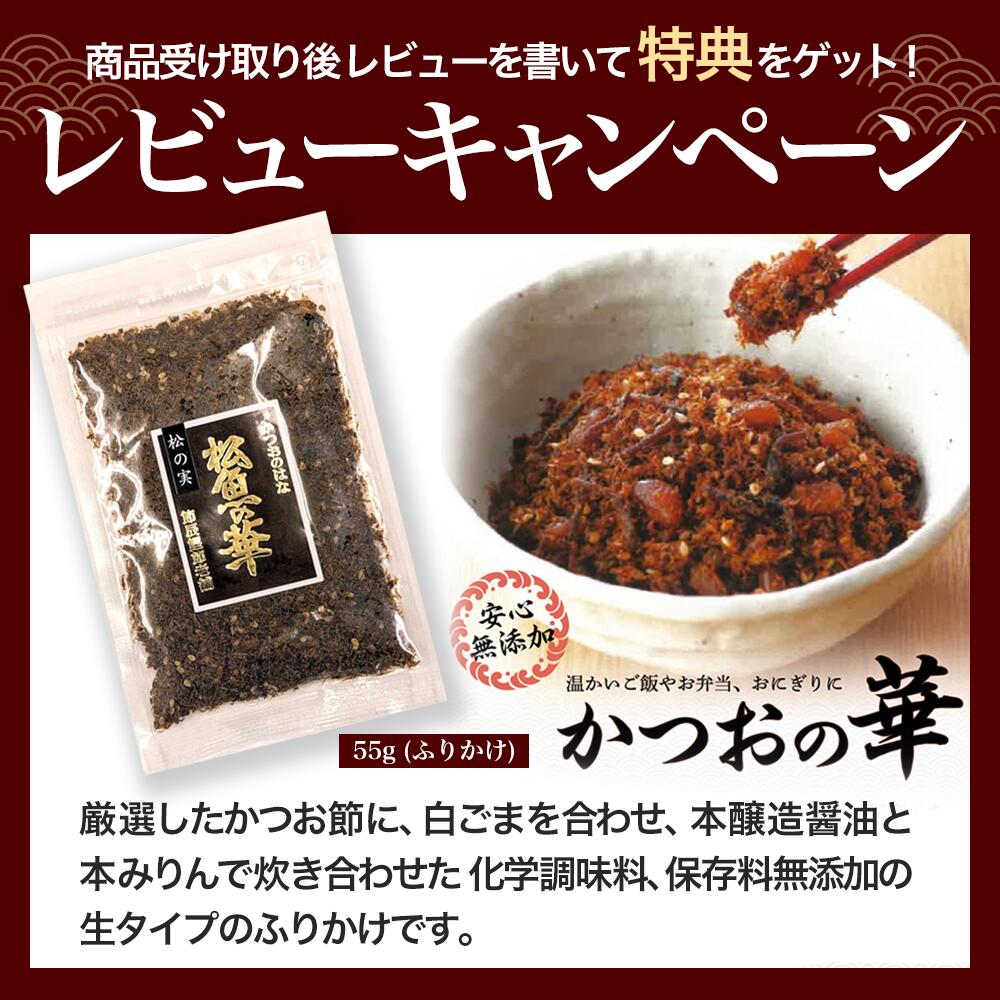 節辰商店 まるごと食べるだしの子 100g だし粉末 出汁粉末 粉末だし 粉末出汁 無添加 食塩 化学調味料 保存料 不使用 送料無料 和風だし かつお節 むろあじ 煮干 昆布 2