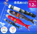 【ベランダ鯉のぼり】1.2mキラキラ矢車:ポリエステル・金箔ぼかし撥水加工『春風鯉』:ベランダセット【鯉幟】【鯉のぼり】