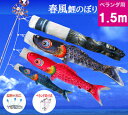 【ベランダ鯉のぼり】1.5mキラキラ矢車:ポリエステル・金箔ぼかし撥水加工『春風鯉』:ベランダセット【鯉幟】【鯉のぼり】