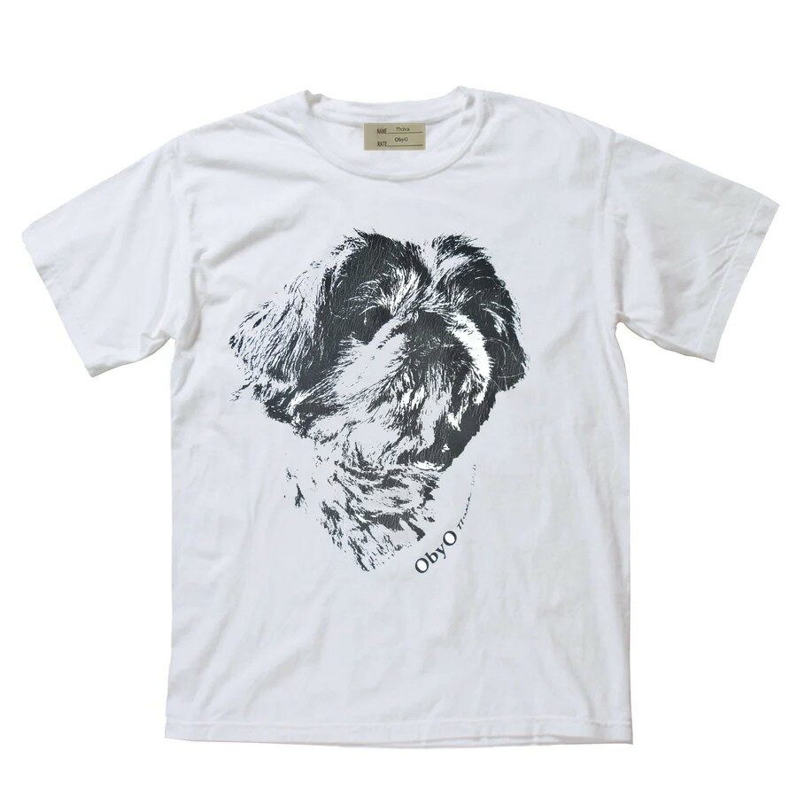 ONE BY ONE プリントT　print s/s tee　テト teto　ObyO / 77circa　特別価格