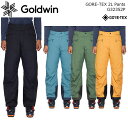 GOLDWIN/ゴールドウイン スキーウェア パンツ GORE-TEX 2L Pants/G32352P(2023) その1