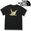 女性用 THE NORTH FACE【S/S Water Grids Tee】NTW12332_K ノースフェイス ショートスリーブウォーターグリッズティー(レ...