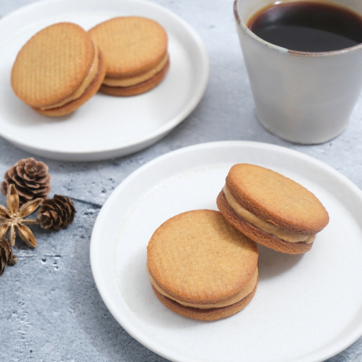 �ե��ܥ�ԡ��ʥåĥХ�������� ����3.0g/�ġ�2������ | ������ ���å��� �ץ����ե� ���ۻ� �������� ����������� �������� ������ �������� �ե��ܥ� ̵ź�� ͭ���դ��޻��� �⥿��ѥ� ���� ���� ŷ����̣���Τ߻��� �Ʋۻ� �Ƥ��ۻ� �ԡ��ʥåĥХ�������� ̵��