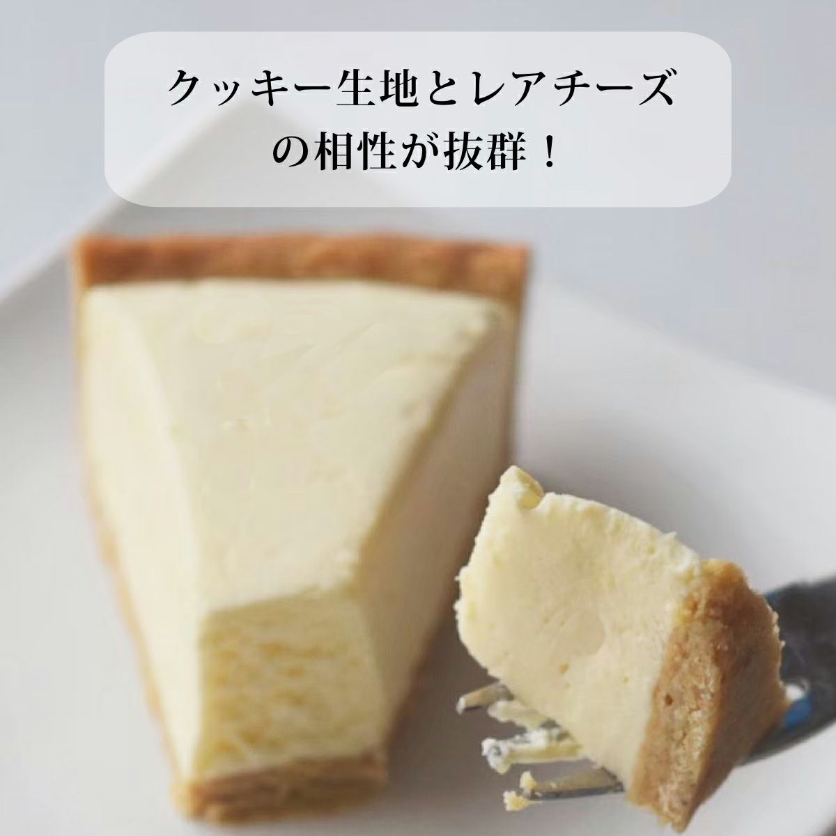 【送料無料・ギフト箱・リボン込】低糖質チーズケーキ2種食べ比べセット | 低糖質 チーズケーキ お菓子 スイーツ 低糖質おやつ 糖質制限 チーズケーキ ロカボ 糖質オフ フスボン 無添加 高タンパク 食品 手作り ケトジェニックダイエット ギフト 高級 取り寄せ 冷凍