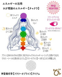 2021年【丑】十二支6cm八角プレート台座付き金箔水晶入り【当店オススメ】おしゃれ【盛り塩皿にも】1枚風水グッズオルゴナイトSサイズ玄関トイレ浄化フラワーオブライフヒーリング同時オシャレ開運アイテム天然石パワーストーン縁起物幸運