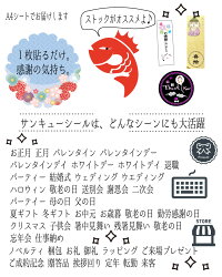 ありがとうシール感謝プレゼント用60×20mm1セット33枚千社札thankyouシールサンキューシールギフトシールステッカーホワイトデーラッピング用品ギフトおしゃれかわいいお返し結婚式ギフトラッピングお菓子手作りラッピング