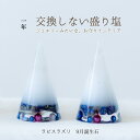 楽天びなっち開運インテリア雑貨店ラピスラズリ ＼ 9月 誕生石 ／ 交換不要 盛り塩 2個 セット 円錐6.5cm 風水 玄関 水晶 オシャレ プレゼント 女性 インテリア雑貨
