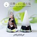 モリオン 黒水晶 \ アシンメトリー2個 / 交換不要 盛り塩 セット 円錐6.5cm 風水 玄関 水晶 ヒマラヤソルト 粗塩 オシャレ プレゼント 女性 イン...