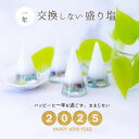 \ 2025 ラッキー 天然石 シトリン フローライト アマゾナイト / 盛り塩 選べる セット H6.5cm-size 1年間 交換不要 ラッキーカラー パワ...