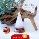 カーネリアン \ 7月 誕生石 / 交換不要 盛り塩 円錐6.5cm 風水 玄関 水晶 オシャレ プレゼント 女性 インテリア雑貨 新築祝い 癒し 開運 引っ越し祝い 癒しグッズ 厄除け 雑貨 おしゃれ 開運グッズ 盛り塩セット 引越し ギフト 運気アップ 置物 浄化塩