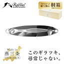 【NEW】ステンレス メタルジグ 65-75mm レイサス Raysus【日本一の金物の街、燕三条で生まれたメタルルアー】 燕三条 金属 ルアー ジグ 釣り 海...