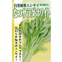 白茎細葉エンサイ 種 【なつサラダ ホワイト 小袋(20ml)】| 葉野菜 暑さに強い 夏収穫 フタバ種苗