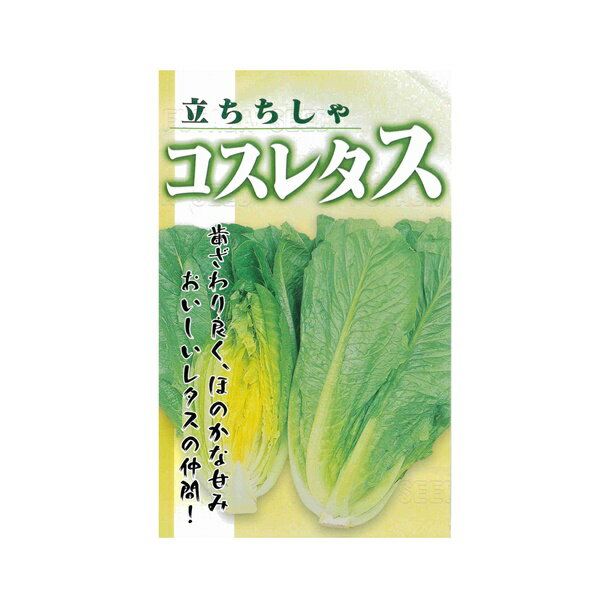 Rakuten - リーフレタス 種 【コスレタス　小袋】