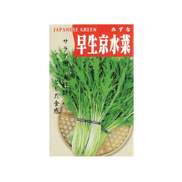 Rakuten - 種 【早生京水菜　小袋】