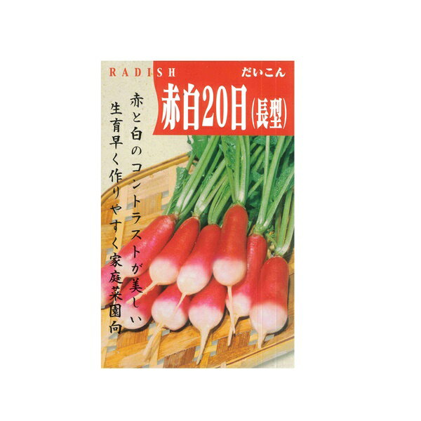 はつか大根 ラディッシュ の育て方 プランター菜園での簡単な栽培方法を伝授 暮らし の