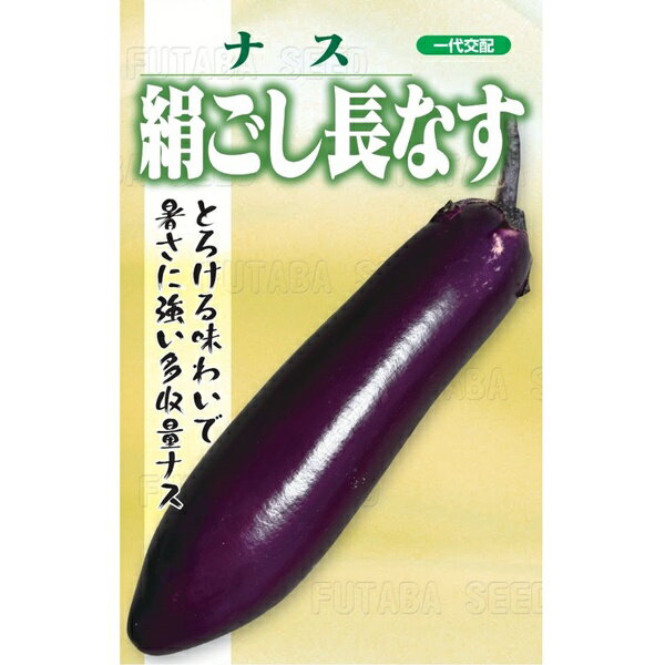 製品仕様 商品名 絹ごし長なす 中袋 名称 ナス種子  内容量 100粒 産地名 台湾 商品説明 とろける味わい、暑さに強い多収量ナス 果重約220g、長さ約24cm、皮色は濃い紫で果肉は白く柔らかい。 暑さに強く、高温でも色鮮やか、強樹勢で多収量。 皮は薄く、加熱するととろける絹ごし食感でどのような調理方法でも美味。 油との相性が良く、特に天ぷらで食すと絶品。