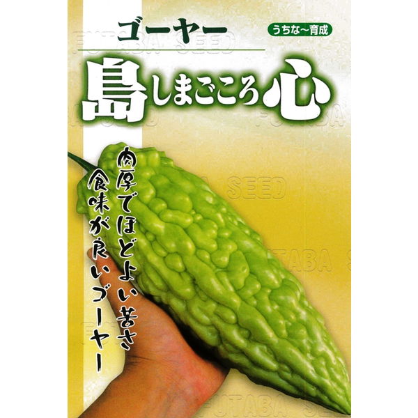 楽天フタバ種苗ネットショップ苦瓜（ゴーヤー）　種　【島心ゴーヤー　1リットル】※2袋以上御購入で宅配便（送料￥1000）