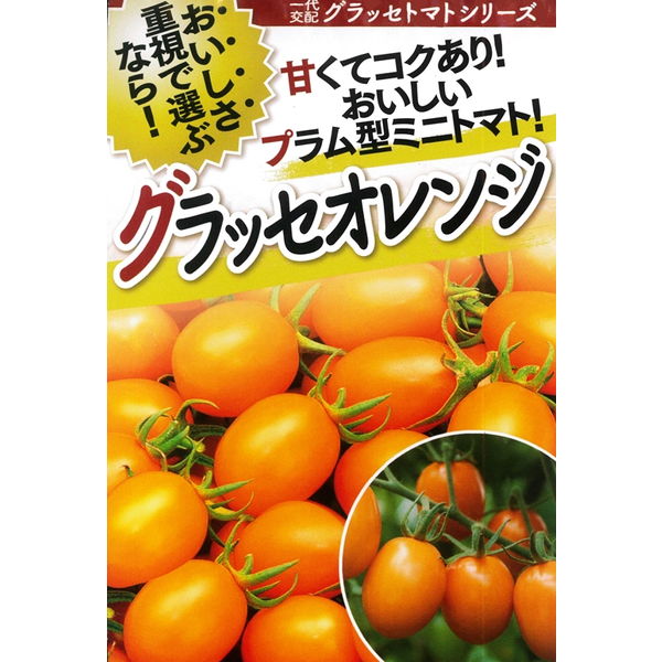 トマト(ミニトマト) 種 【グラッセオレンジ　100粒】