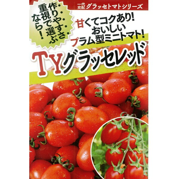 トマト(ミニトマト) 種 【TYグラッセレッドプラス　1000粒】