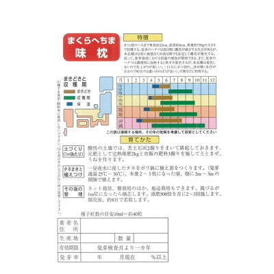 ヘチマを食べる 気になる味や食べ方を簡単レシピと合わせてご紹介 暮らし の ヘチマを食べる 気になる味や食べ方を簡単レシピと合わせてご紹介 暮らし の