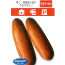 瓜 ( つけうり ) 種 【 沖縄赤毛瓜 小袋 (3ml) 】 フタバ種苗 ※メール便にて発送※