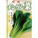 チンゲンサイ 種 【 沖縄長茎チンゲン菜 小袋 (10ml) 】 フタバ種苗