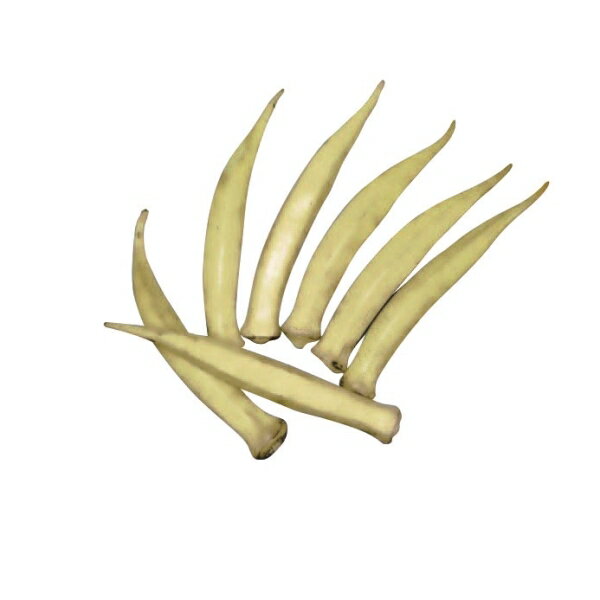 ������(�ݥ�����) �� ��Ҥ���������