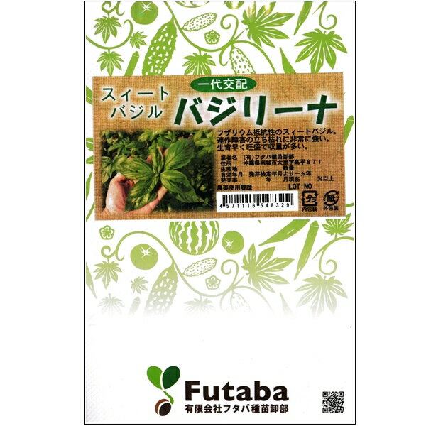 葉野菜(スィートバジル)種子 