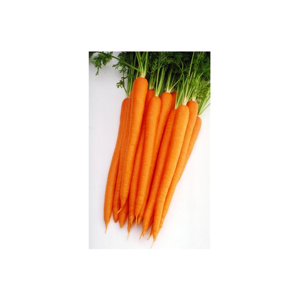 �˥󥸥��� �ڥ�����åƥ���󥸡�5��γ�ڥ�åȡ�