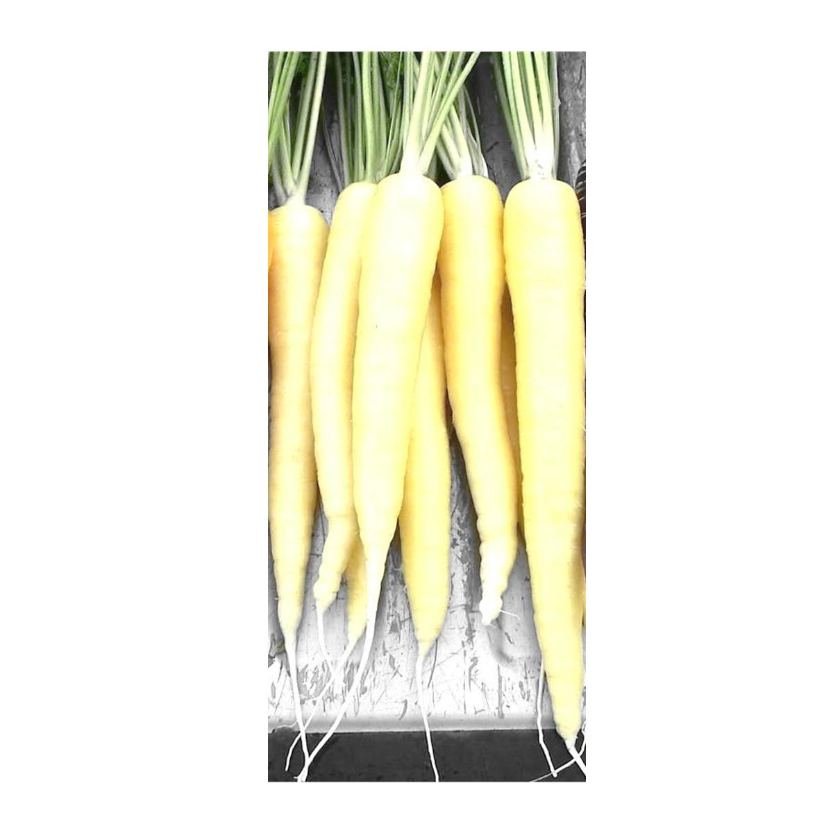 ニンジン種子 【キャロッテクリーム　5千粒ペレット】 2