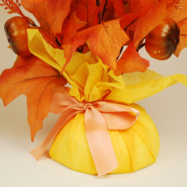 �ڽ��������ۥ������७�塼�ȥ�åס��μ���ȯ�ԡۡڤ������б�_���̡ۡڤ������б�_����ۡڤ������б�_�ÿ��ۡۡڤ������б�_��Φ�ۡڤ������б�_�쳤�ۡڤ������б�_�ᵦ��