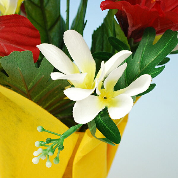 �ڲƤ������ۥϥ��ӥ����������������ݥåȡ��μ���ȯ�ԡ�