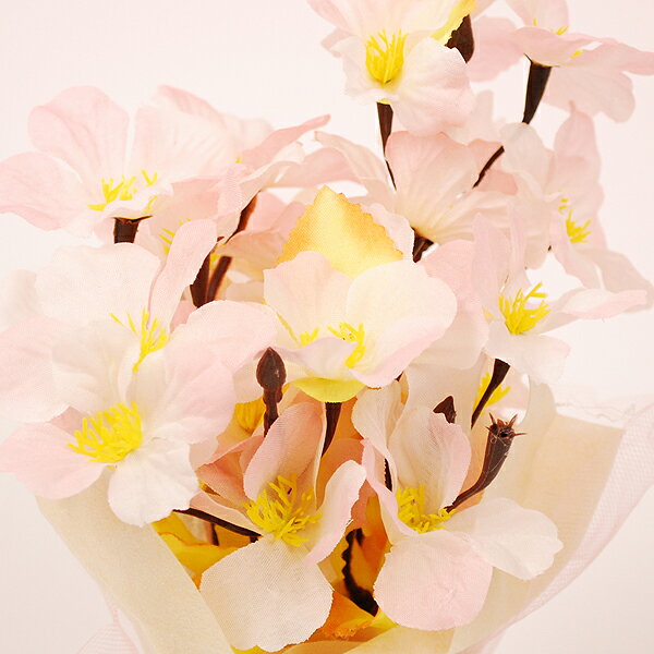 �ڽդ������ۥ��塼�ȥ�å׺��ݥåȡ��μ���ȯ�ԡۡڤ������б�_���̡ۡڤ������б�_����ۡڤ������б�_�ÿ��ۡۡڤ������б�_��Φ�ۡڤ������б�_�쳤�ۡڤ������б�_�ᵦ��