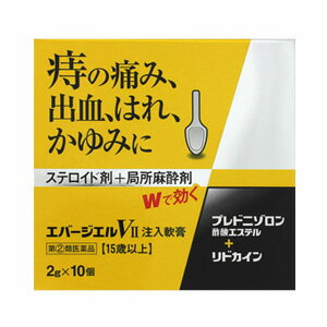 エバージエルVII 注入軟膏　2g×10個 【第(2)類医薬品】＊配送分類:1 ボラギノールA注入軟膏と同等の処方に、有効成分をさらにプラス