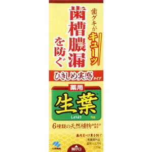 薬用歯みがき　ひきしめ生葉 100g＊配送分類:1 1