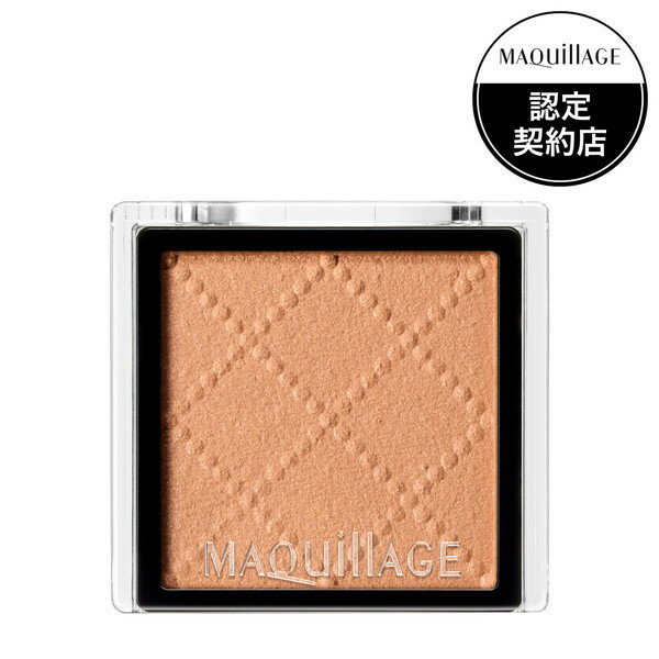 【資生堂認定ショップ】マキアージュ　ドラマティックアイカラー　パウダー　BE317　フロマージュガナッシュ（マット）　1g［クリックポスト配送2］