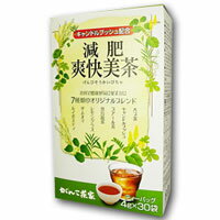 がんこ茶家　減肥爽快美茶　4g×30袋＊配送分類:1 1