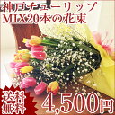 【送料無料】チューリップMIX20本+カスミ草の花束